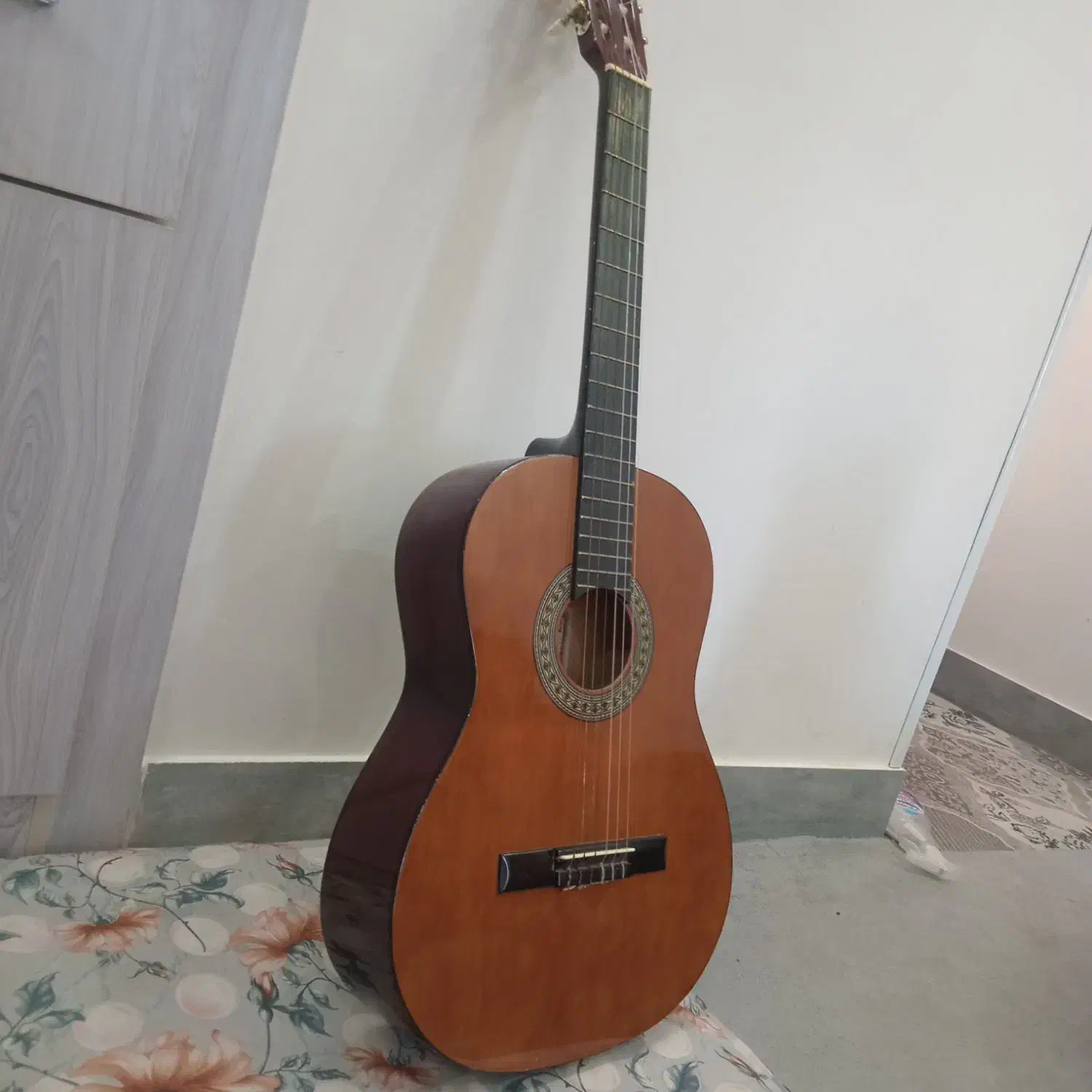 گیتار|گیتار، بیس، امپلیفایر|کرج, اخترآباد|دیوار