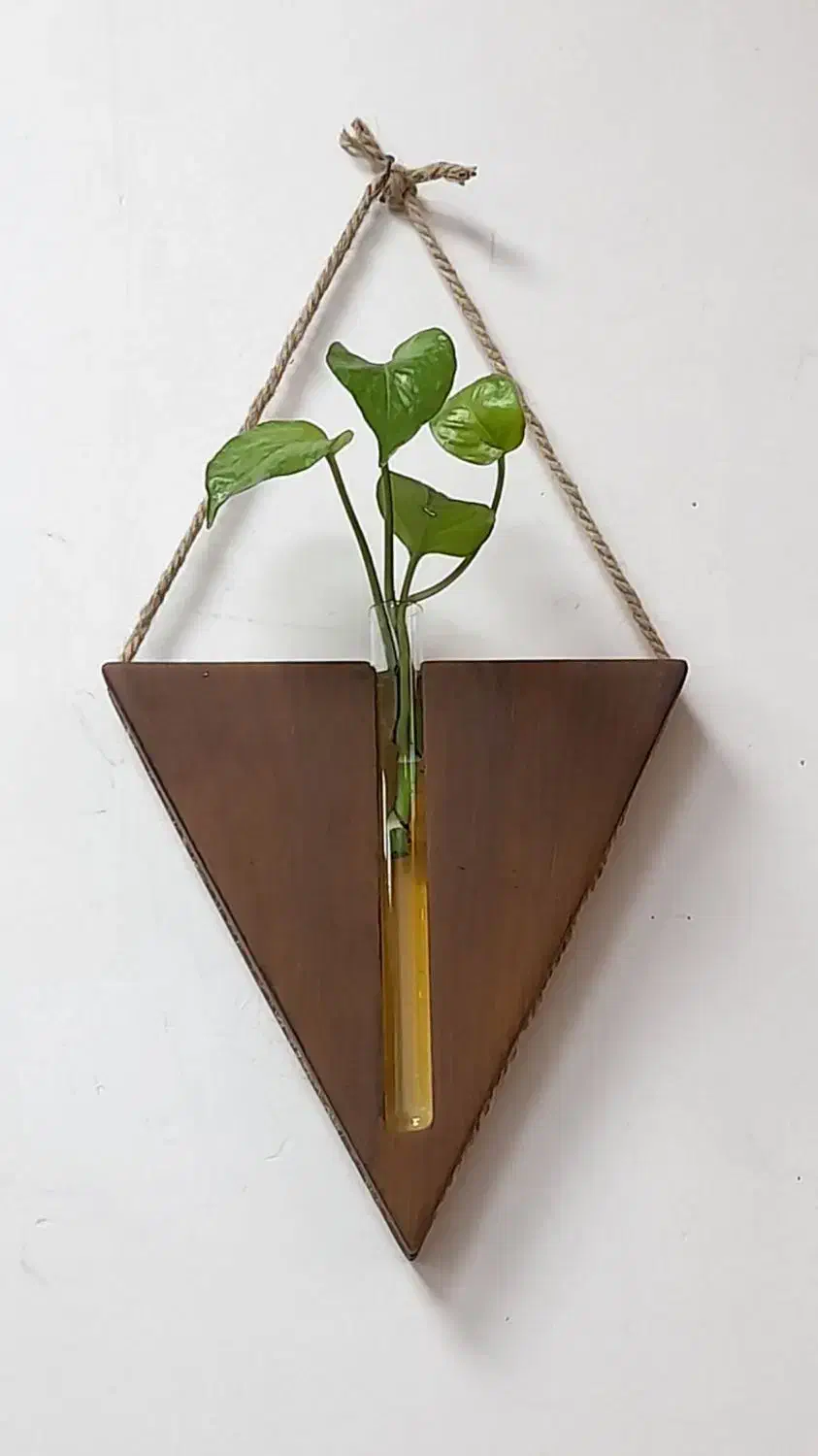 گلدان|گل و گیاه طبیعی|قرچک, زیبا شهر|دیوار