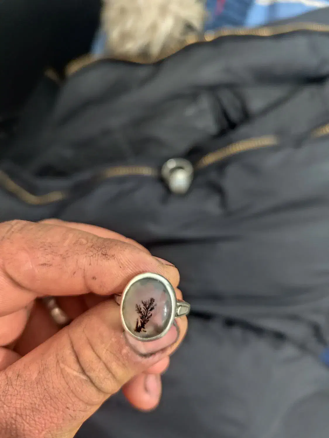 شجر|جواهرات|کرمانشاه, |دیوار