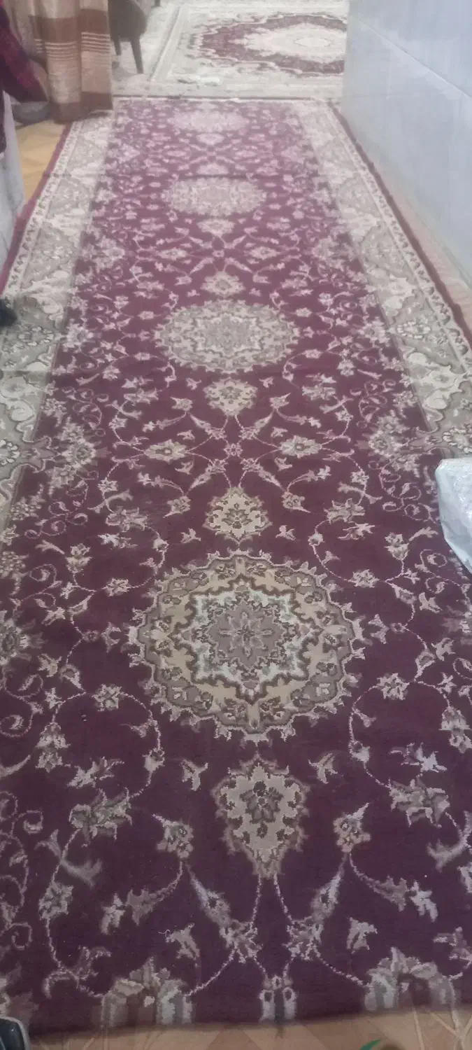 فرش|فرش|زابل, |دیوار