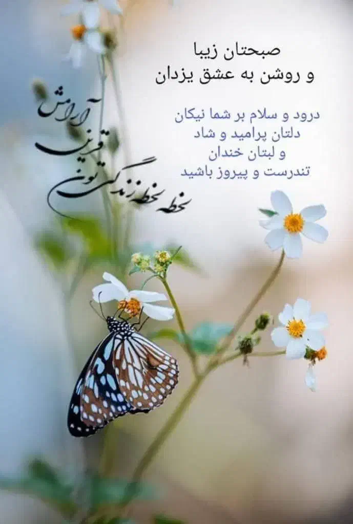 خط 09129551582|سیمکارت|تهران, شوش (باغ آذری)|دیوار