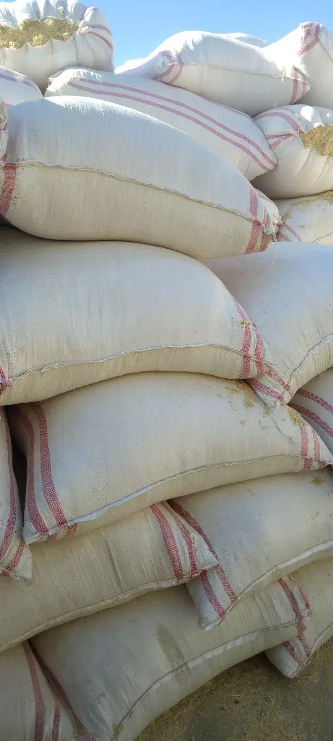 فروش کاه دیم قاین ابومنسور۳|عمدهفروشی|قائن, |دیوار