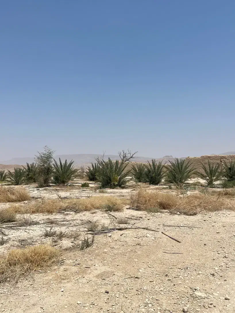 فروش ۱۹هکتار زمین کشاورزی سند دار|فروش دفتر صنعتی، کشاورزی، تجاری|لار, |دیوار