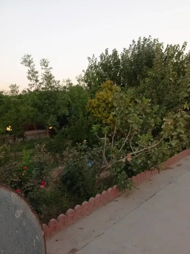 اجاره دامداری و سوییت|اجارهٔ دفتر صنعتی، کشاورزی، تجاری|جوادآباد, |دیوار