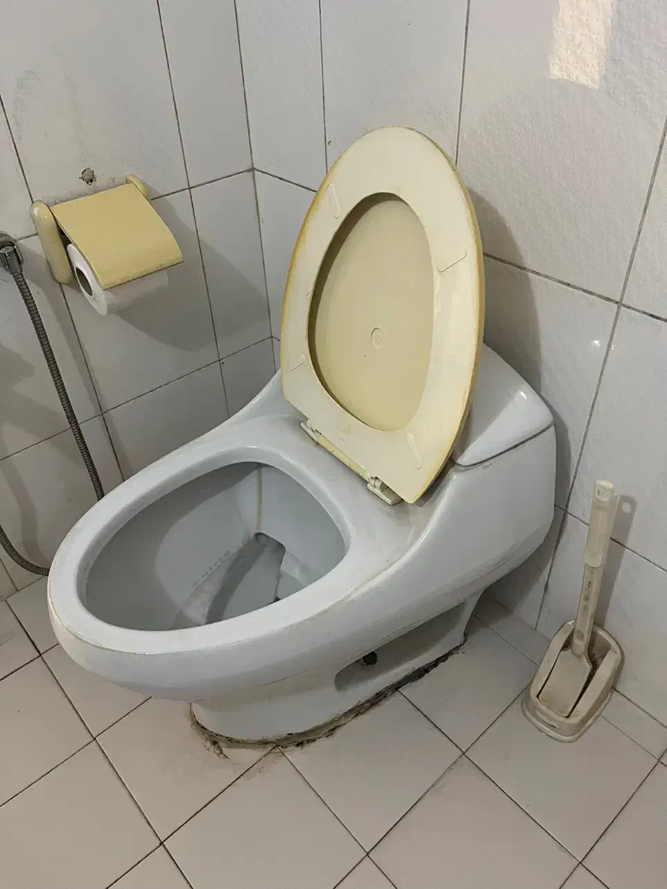 روشویی و توالت فرنگی|لوازم سرویس بهداشتی|نوشهر, |دیوار