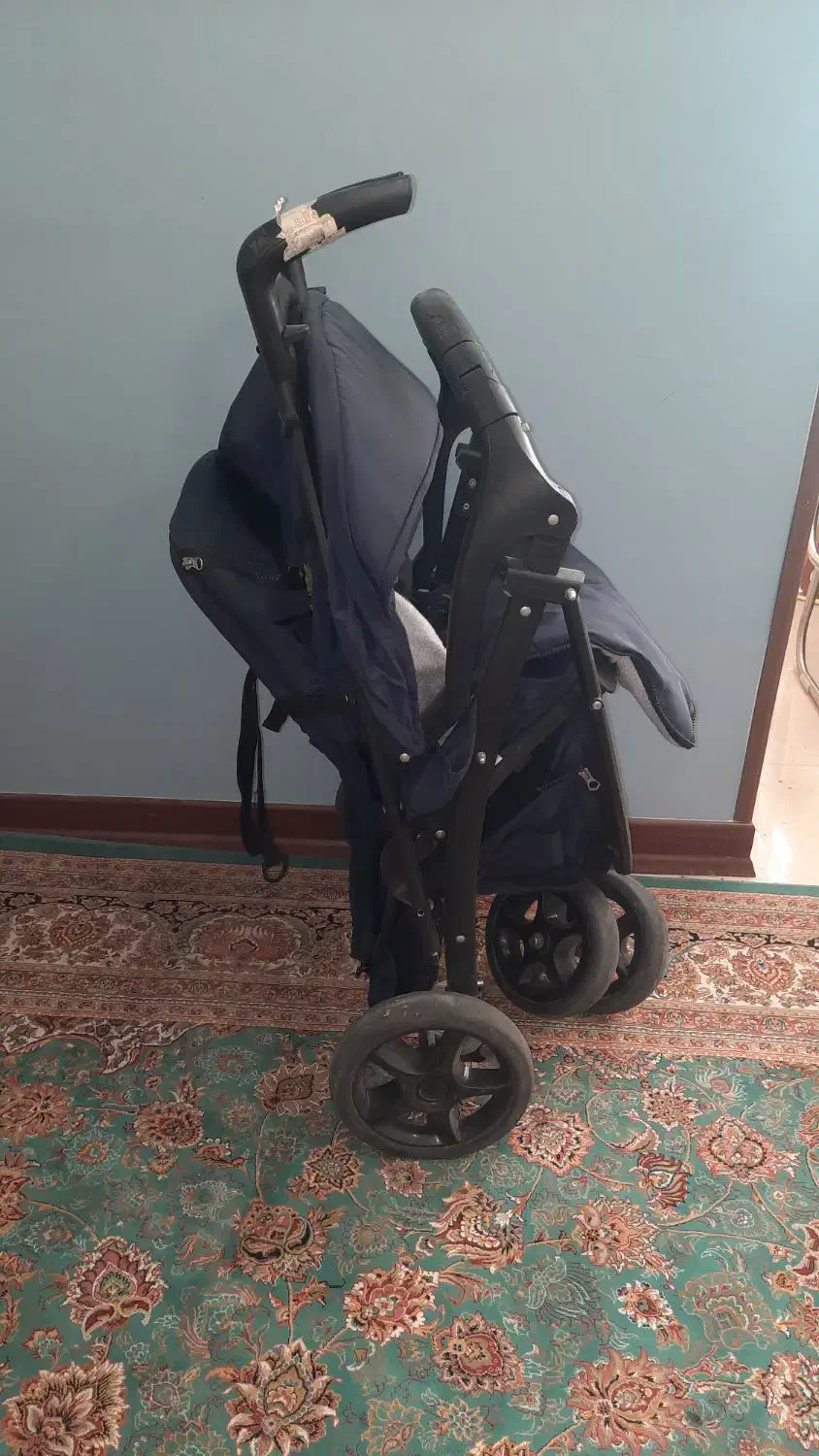 کالسکه دلیجان|کالسکه و لوازم جانبی|شیراز, اصلاح‌نژاد|دیوار