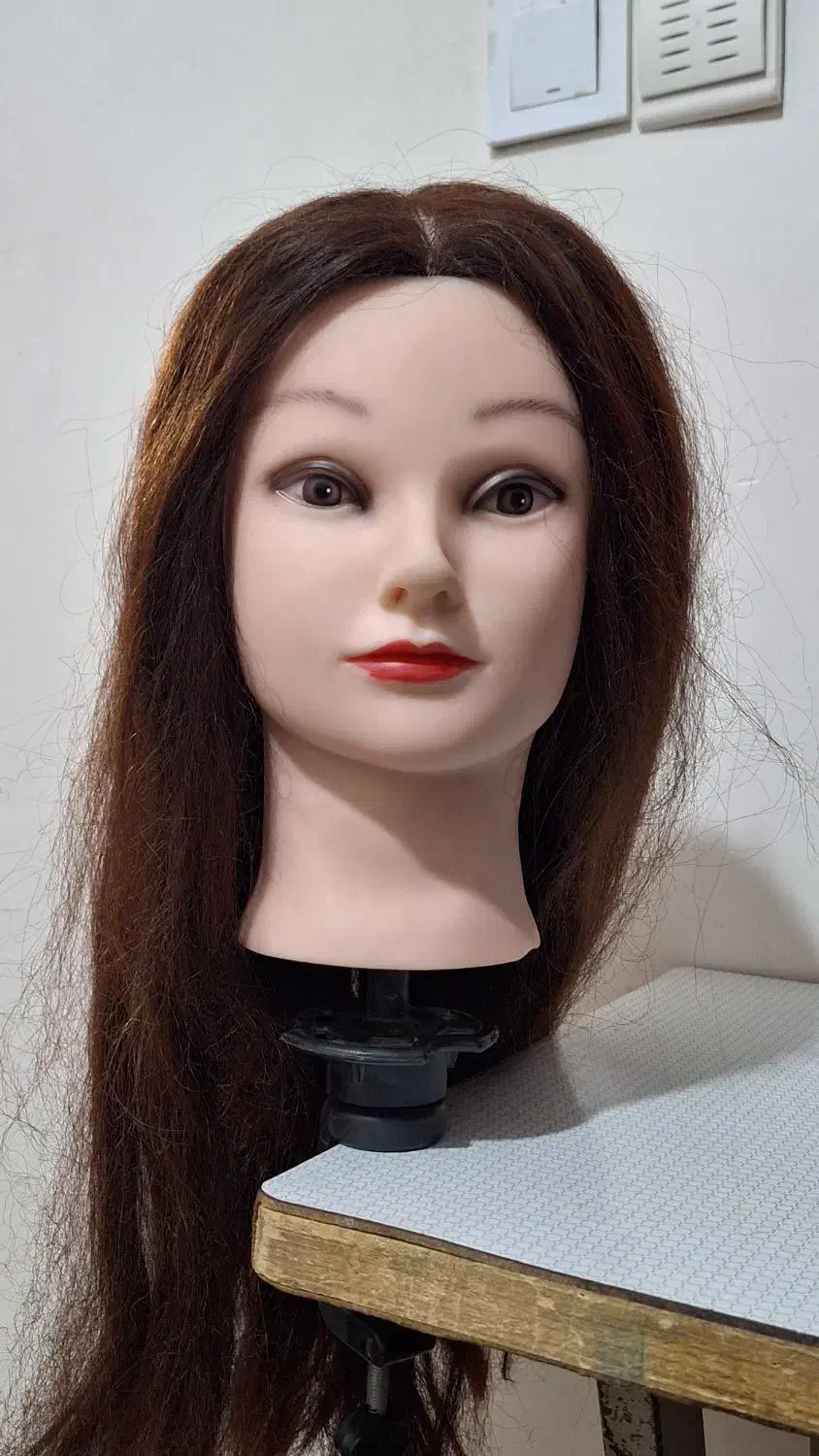 سرمانکن با موی مصنوعی|آرایشی، بهداشتی، درمانی|کاشمر, |دیوار