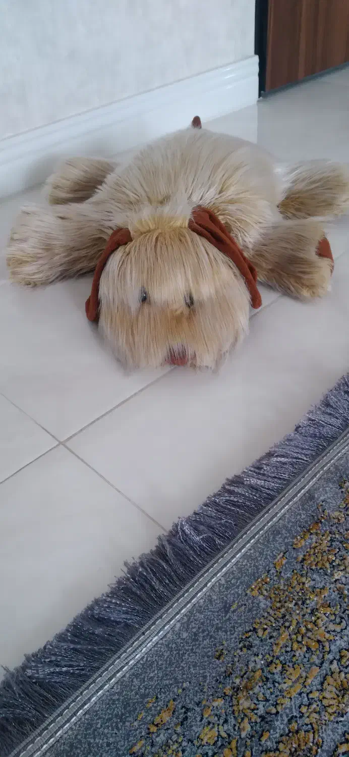 عروسک درحدنو|اسباب‌بازی بچه|رشت, حمیدیان|دیوار