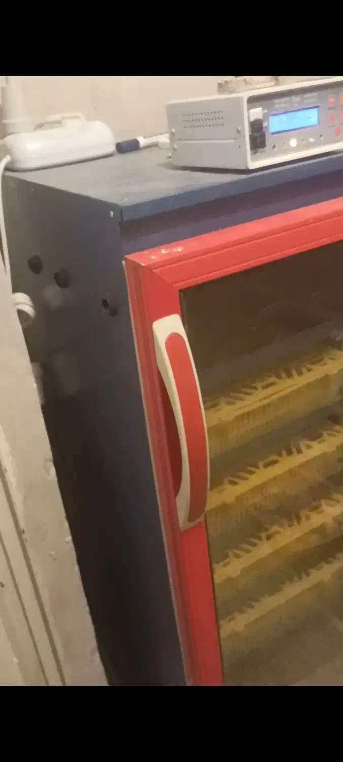 دستگاه جوجه کشی 210 تایی|لوازم جانبی حیوانات|اصفهان, بهارستان|دیوار