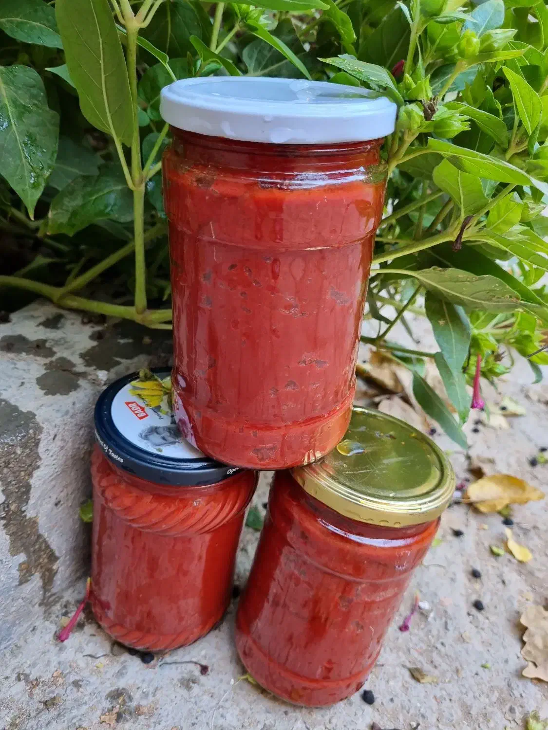 رب گوجه خانگی با گوجه فرنگی بسطام|خوردنی و آشامیدنی|بسطام, |دیوار