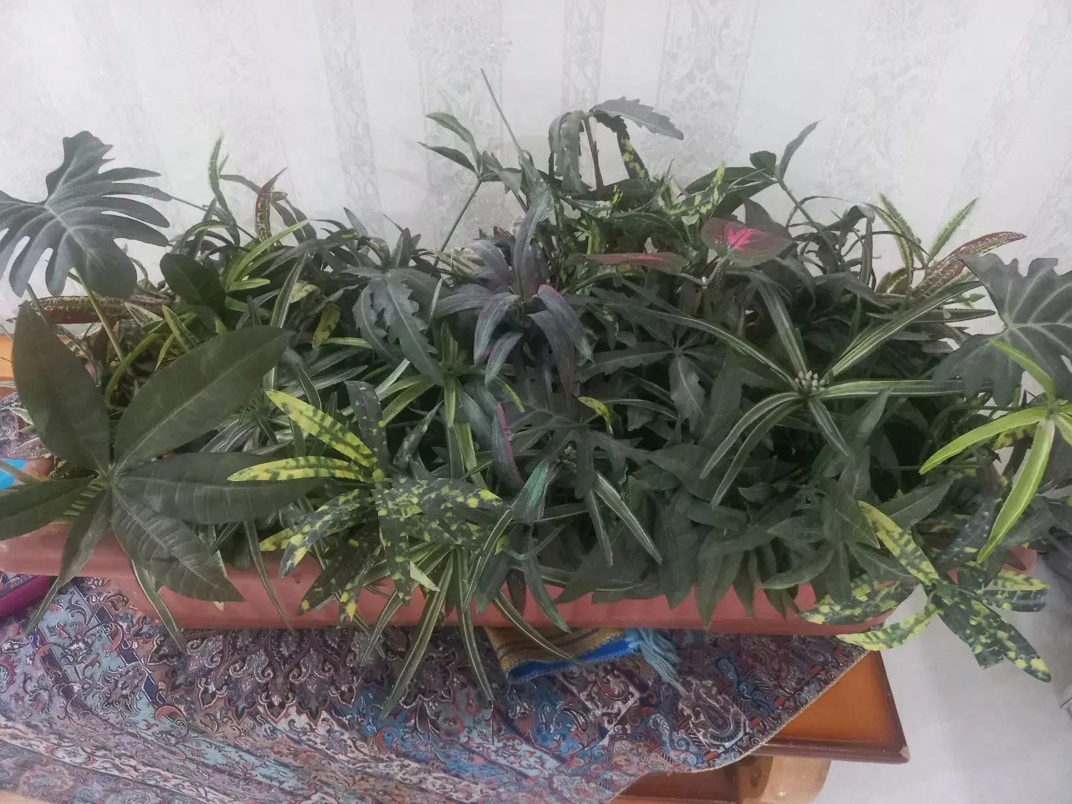 گل وگلدان|گل مصنوعی|اهواز, فرهنگ شهر|دیوار