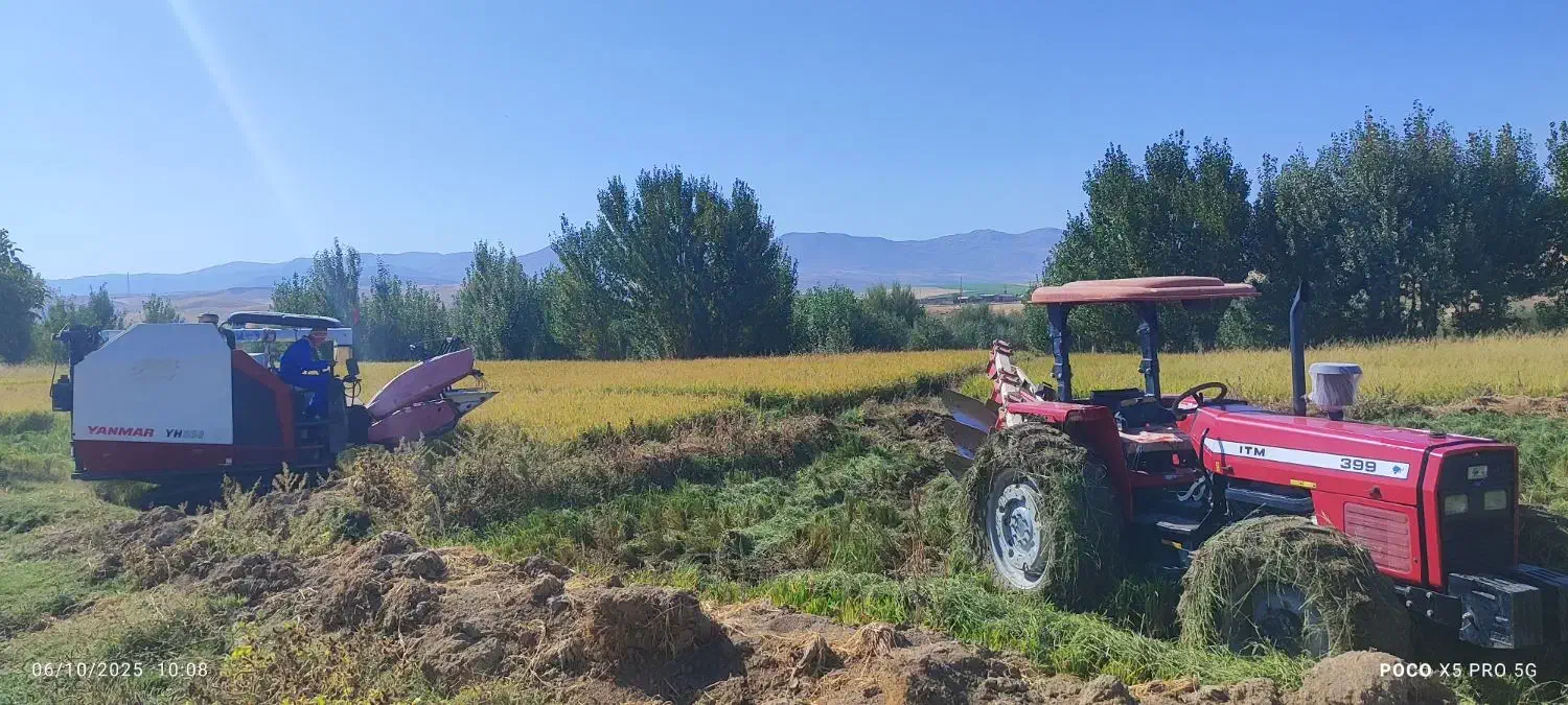 فروش برنج محلی کشت اول|خوردنی و آشامیدنی|زاغه, |دیوار