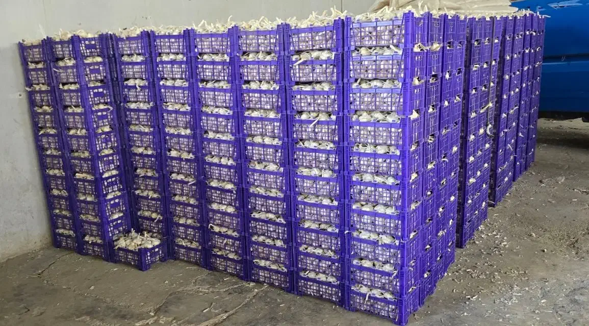 نیروی کار برای سوله سیر|استخدام صنعتی، فنی، مهندسی|همدان, |دیوار