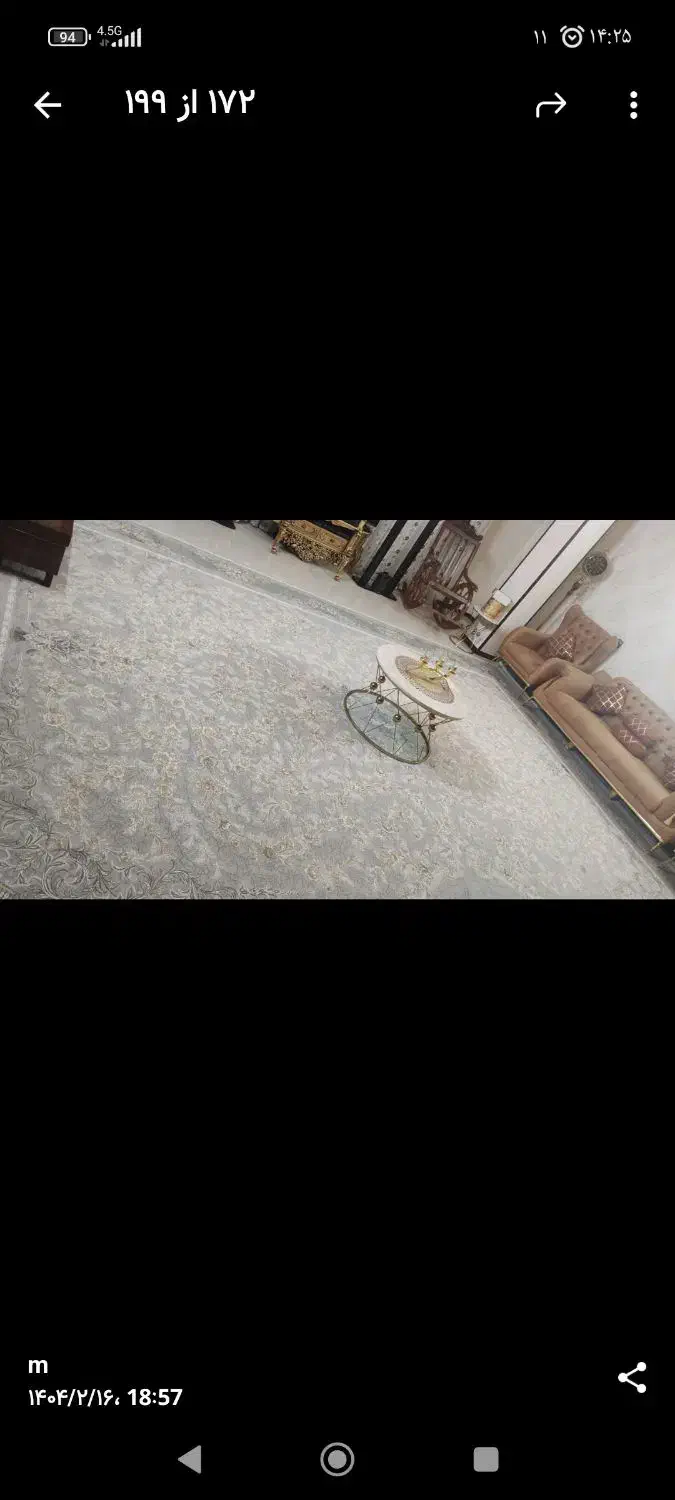 فرش 24 متری|فرش|رشت, کوی مهر|دیوار