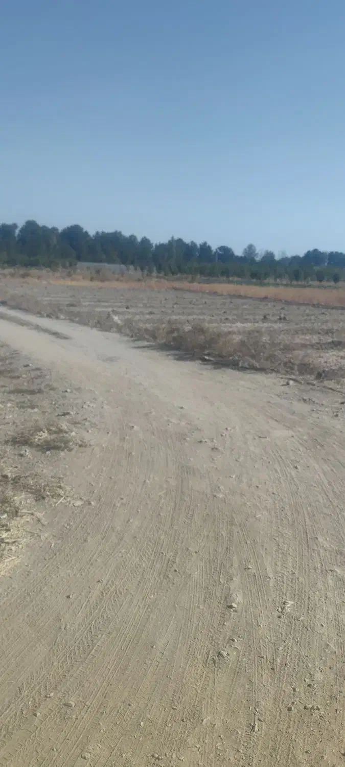 زمین تجاری آینده دار در بعد از حیدر آباد (جار)|فروش دفتر صنعتی، کشاورزی، تجاری|اصفهان, بهارستان|دیوار