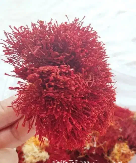 زعفران درجه یک|خوردنی و آشامیدنی|شیراز, شهرک پرواز|دیوار