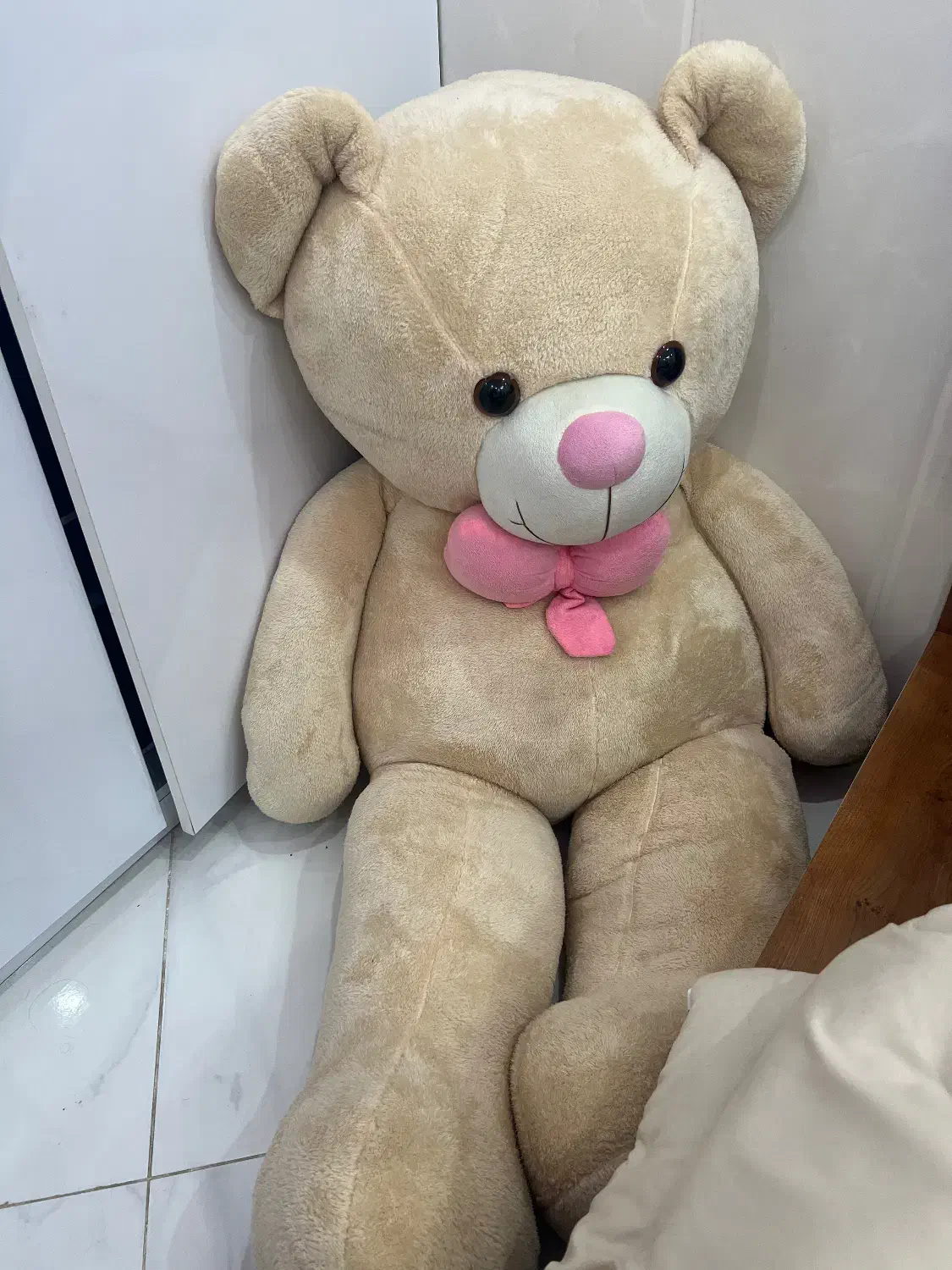 عروسک|اسباب‌‌بازی|بیرجند, |دیوار