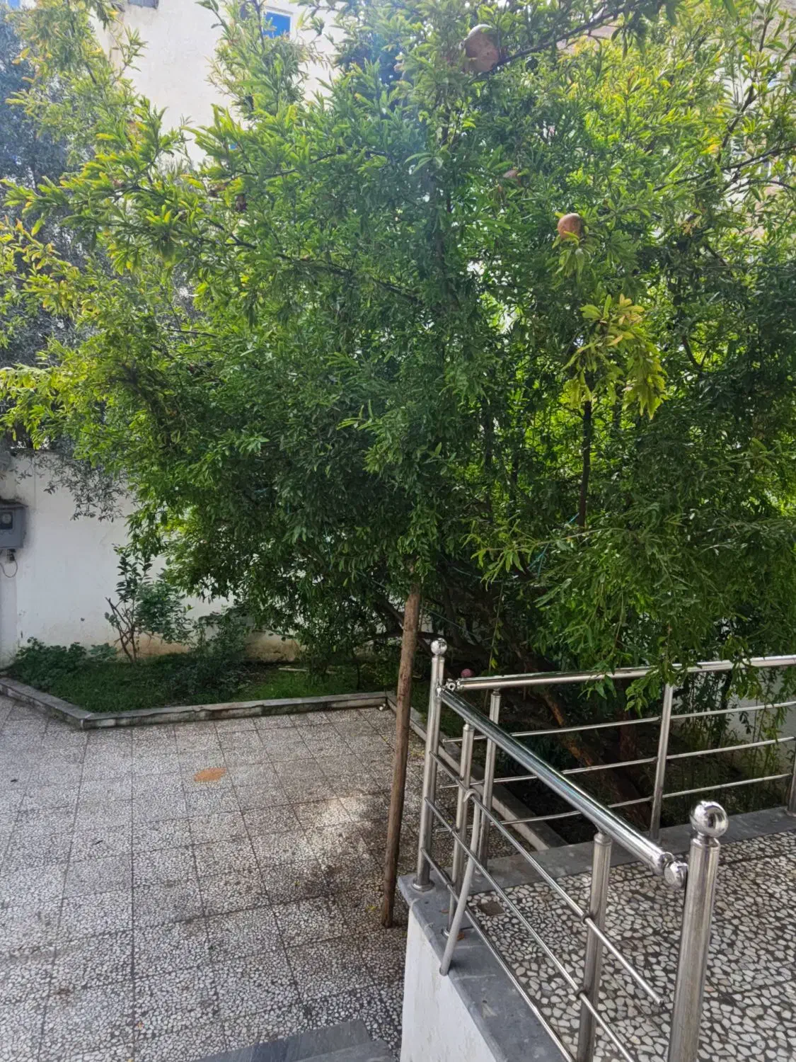 اجاره روزانه ویلایی دوبلکس شیک|اجارهٔ کوتاهمدت ویلا و باغ|بابلسر, |دیوار