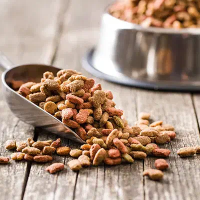 منشی و فروشنده خانم|استخدام بازاریابی و فروش|قم, میدان نو|دیوار