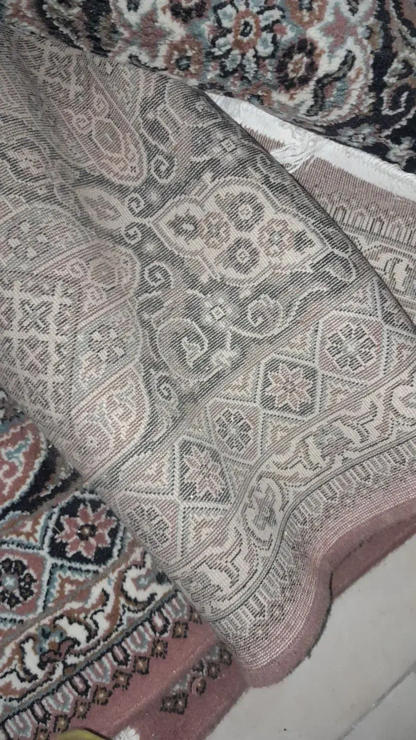 فرش قفس پایه آهنی|فرش|گلبهار, شهر جدید گلبهار|دیوار