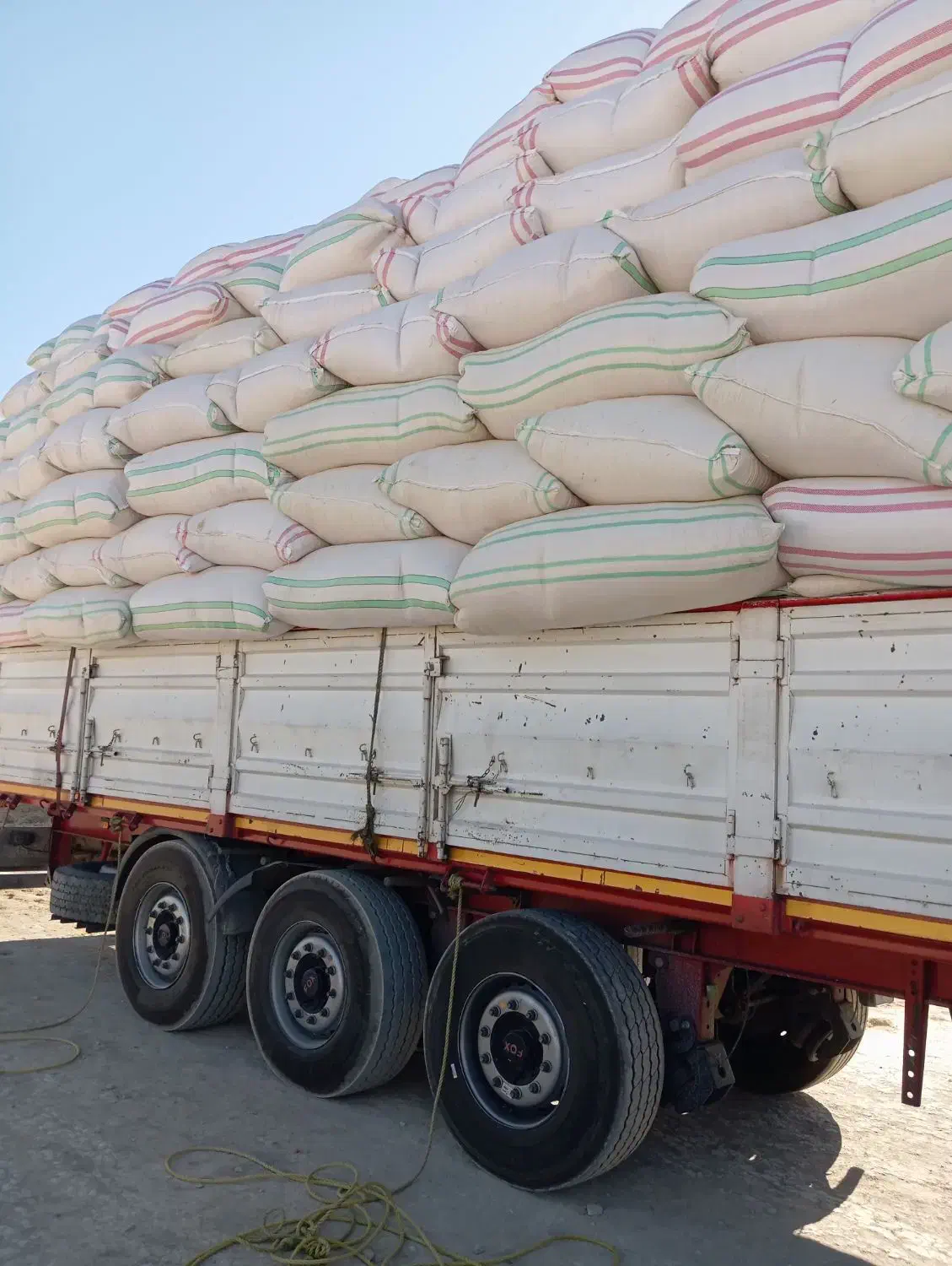 کاه گندم نرم|لوازم جانبی حیوانات|زابل, |دیوار