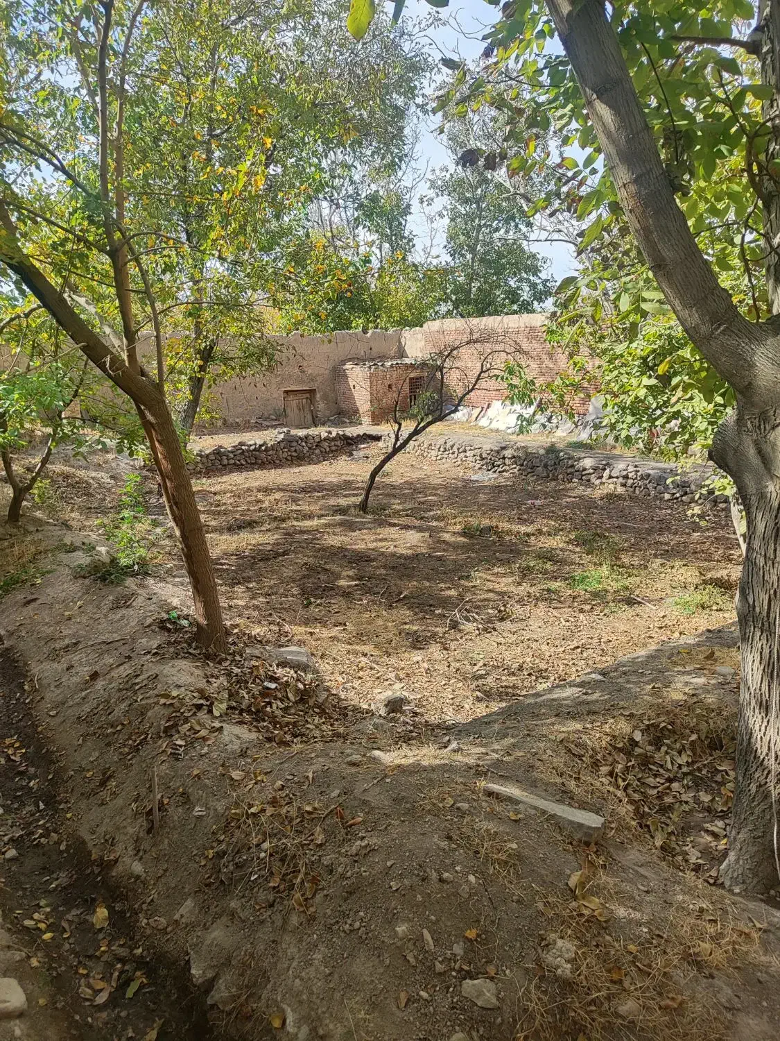 خانه باغچه5400متری انشعابات داربهترین موقعیت اسکو|فروش زمین و ملک کلنگی|اسکو, |دیوار