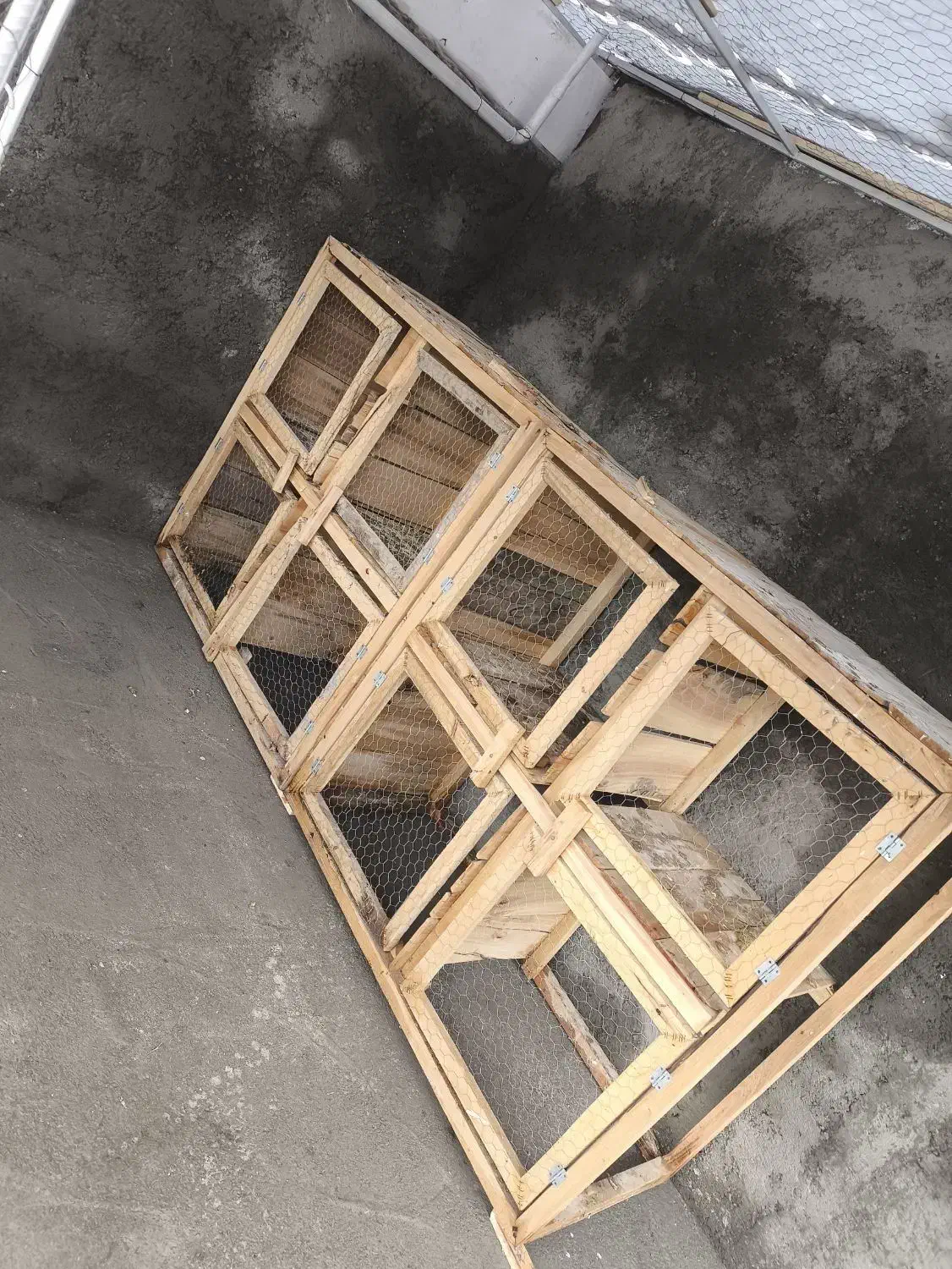 جفت کن کبوتر|لوازم جانبی حیوانات|نقده, |دیوار