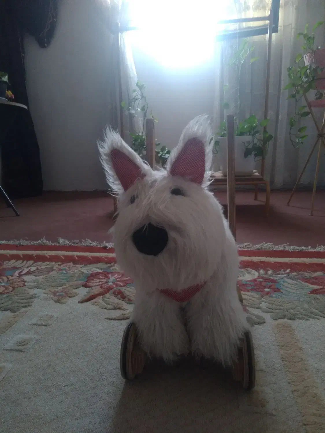 سرگرمی|اسباببازی بچه|نسیمشهر, |دیوار