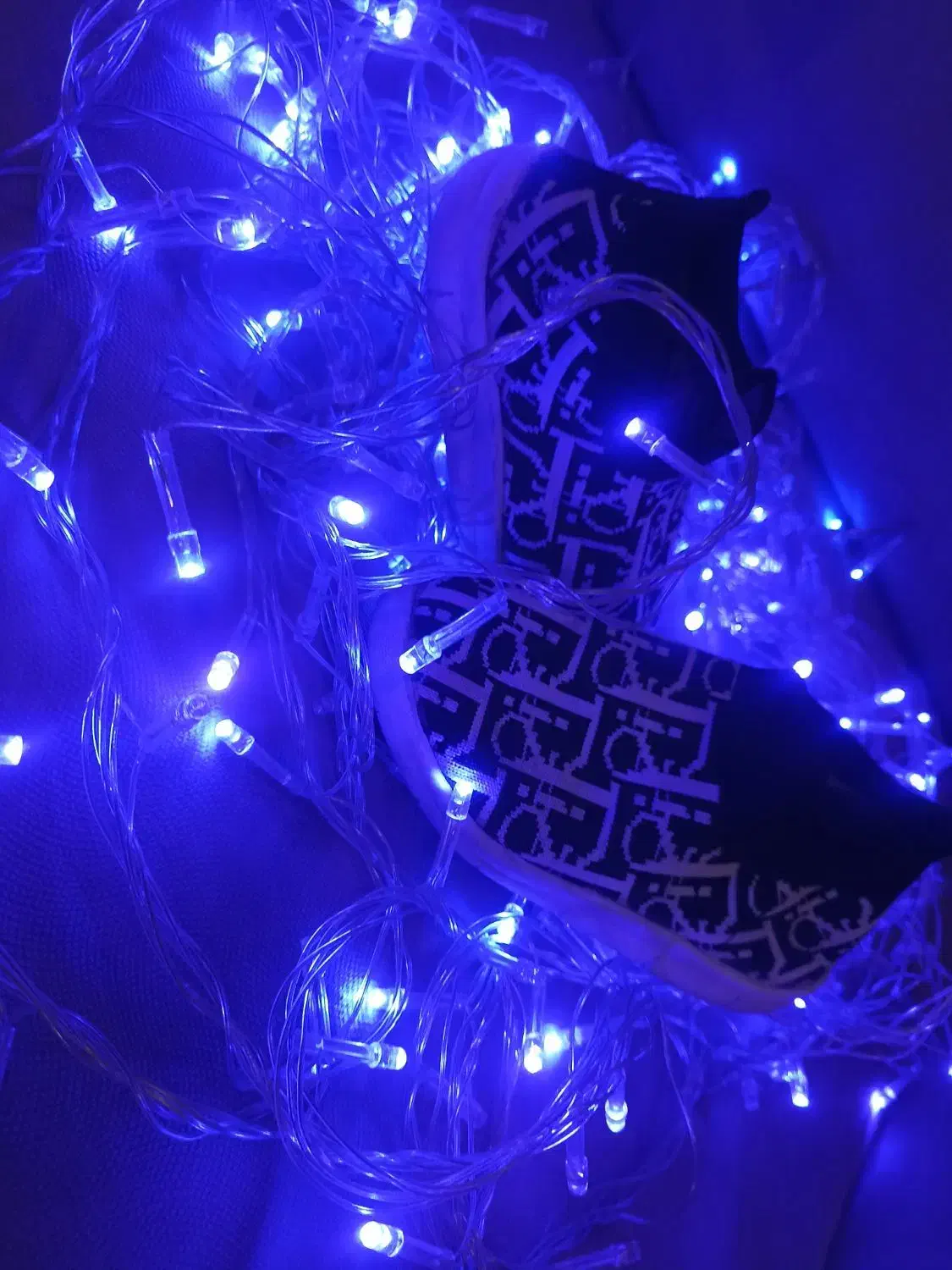 کفش|کیف، کفش، کمربند|بندر کنگان, |دیوار