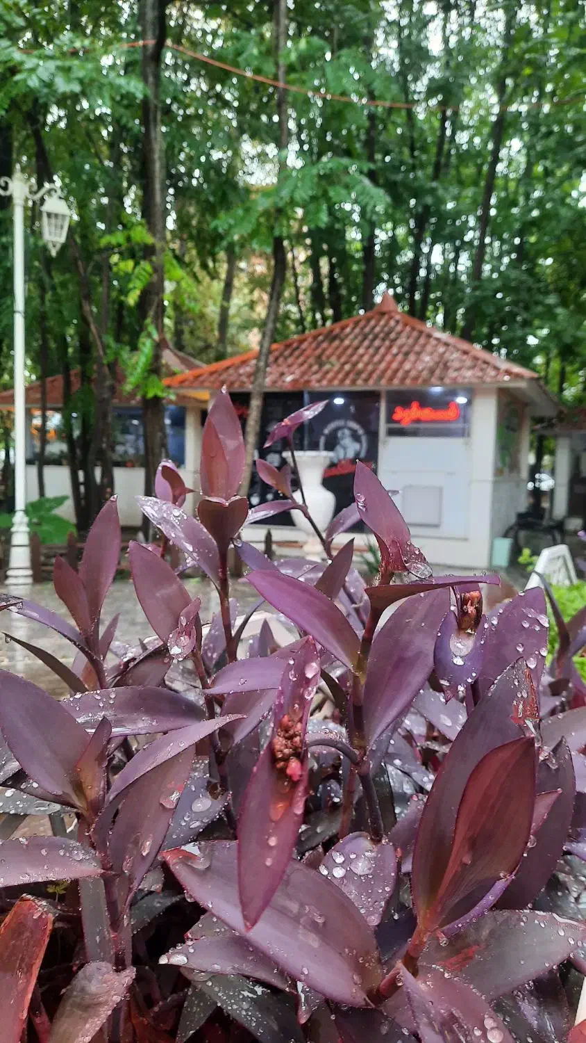 استخدام همکار کافه فست فود طاهباز|استخدام خدمات فروشگاه و رستوران|محمودآباد, |دیوار