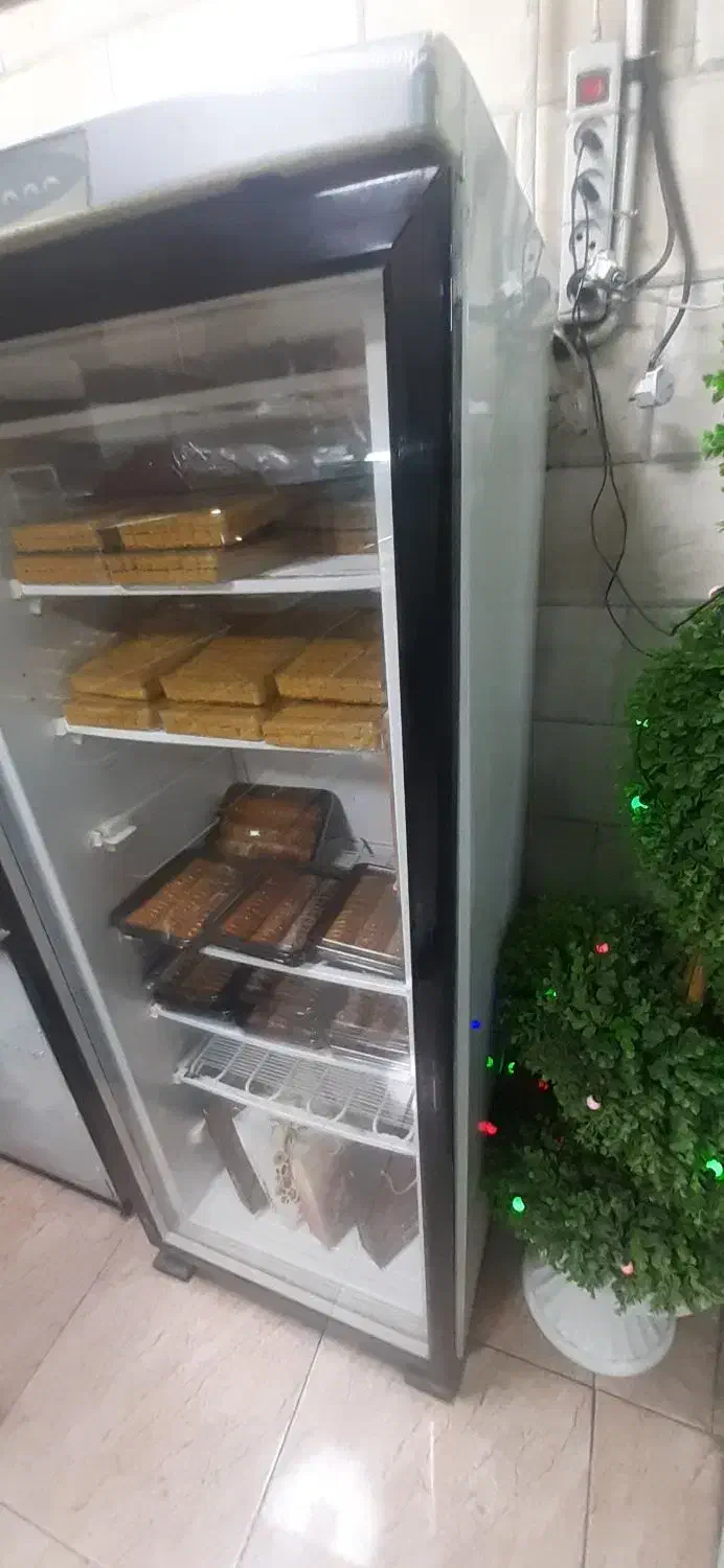 یخچال فریزر ایستاده ،|فروشگاه و مغازه|ری, شهادت|دیوار