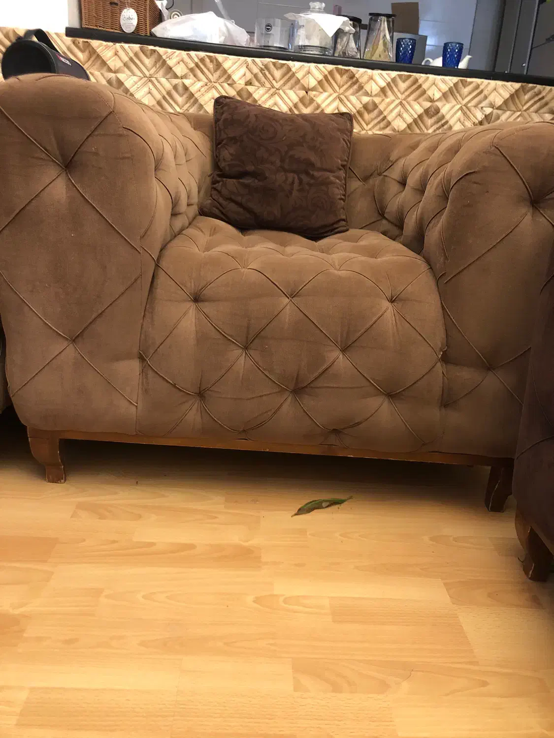 مبل چستر درحد نو|مبلمان خانگی و میز عسلی|ساری, |دیوار