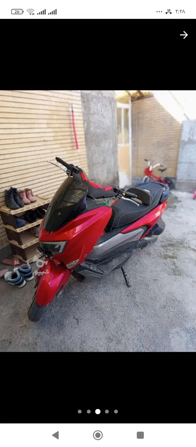 سگ نیه|حیوانات|سنندج, |دیوار