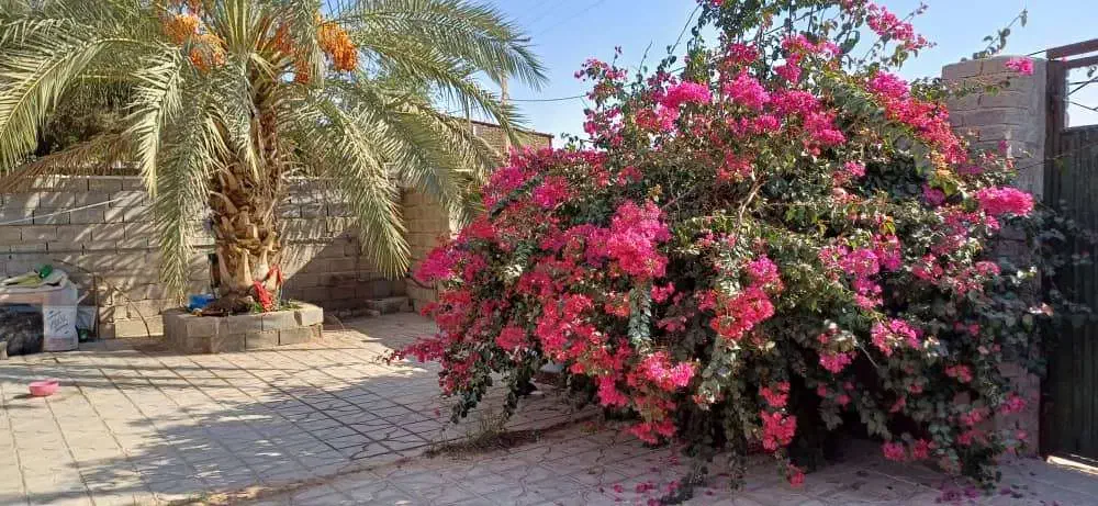 خانه ویلایی|فروش خانه و ویلا|داراب, |دیوار