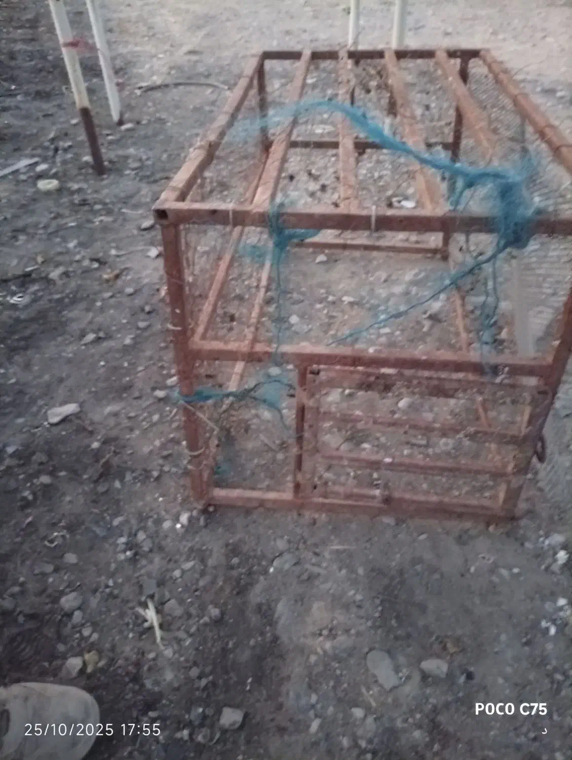 قفسه مرغ بزرگ وچهارپایه|لوازم جانبی حیوانات|آبدانان, |دیوار