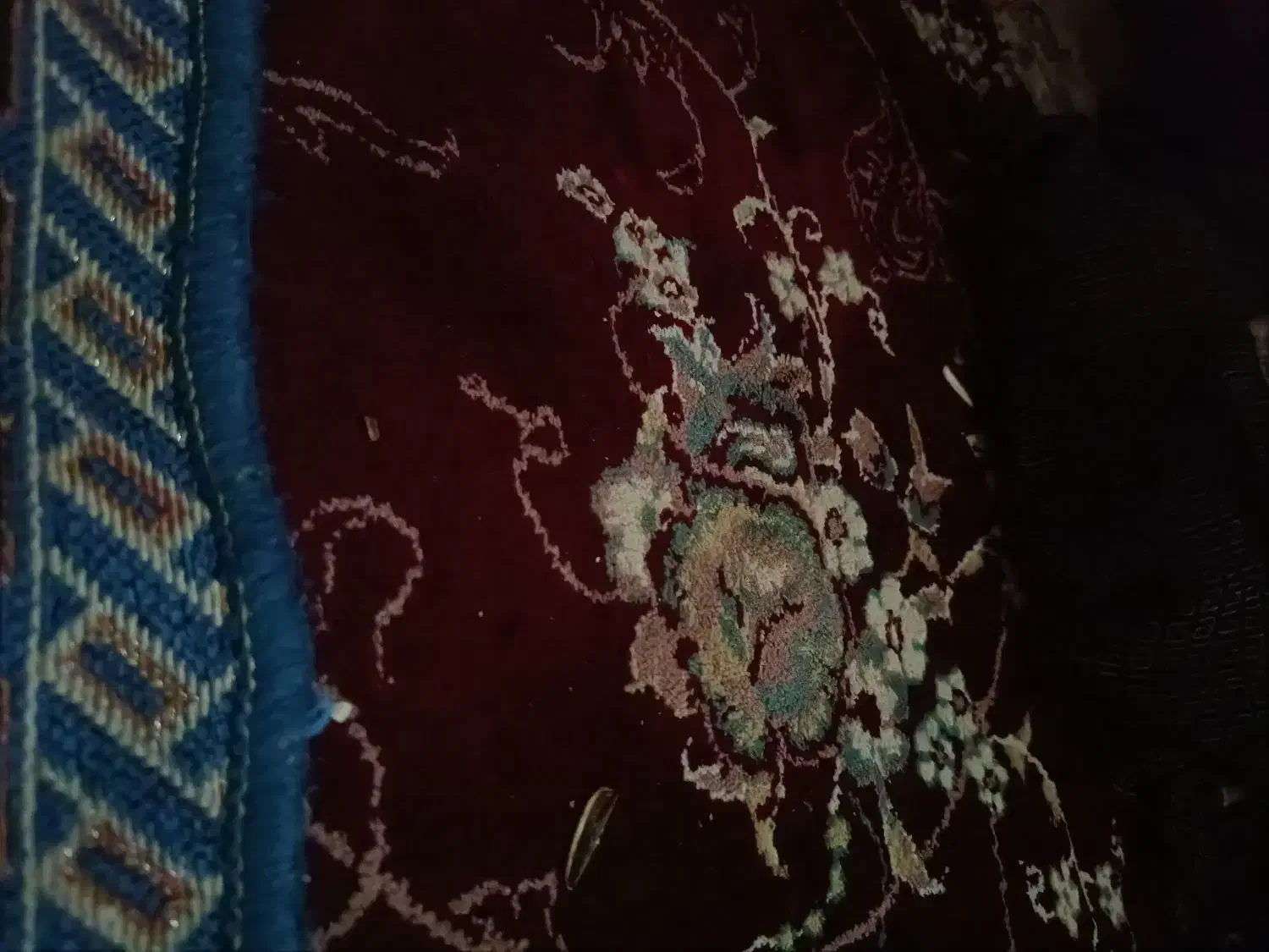 اجاره خانه|اجارهٔ خانه و ویلا|نقده, |دیوار