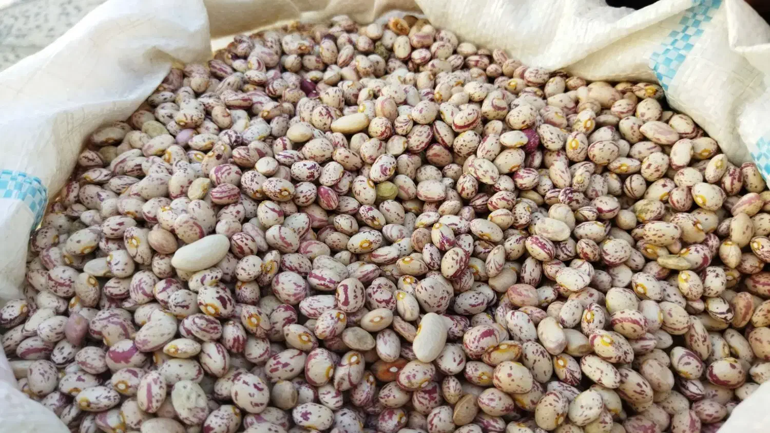 لوبیا چیتی درجه یک زنجان|خوردنی و آشامیدنی|تهران, مشیریه|دیوار