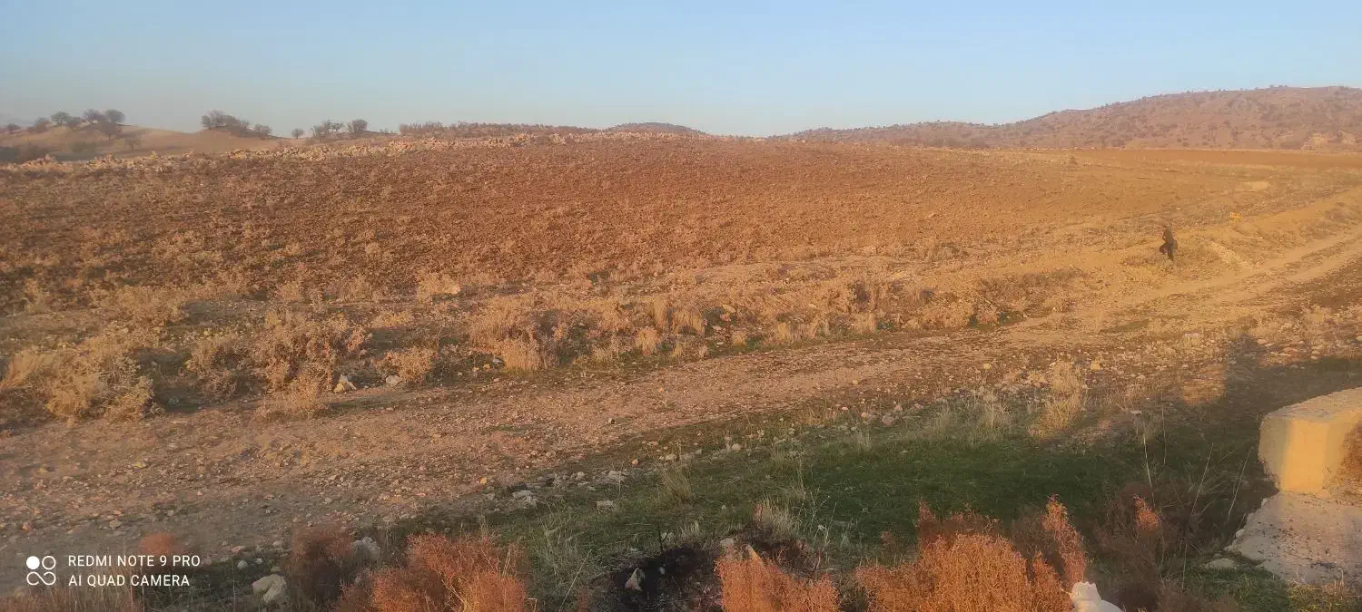 زمین دشمن زیاری نورآباد|فروش زمین و ملک کلنگی|دشمن زیاری, |دیوار