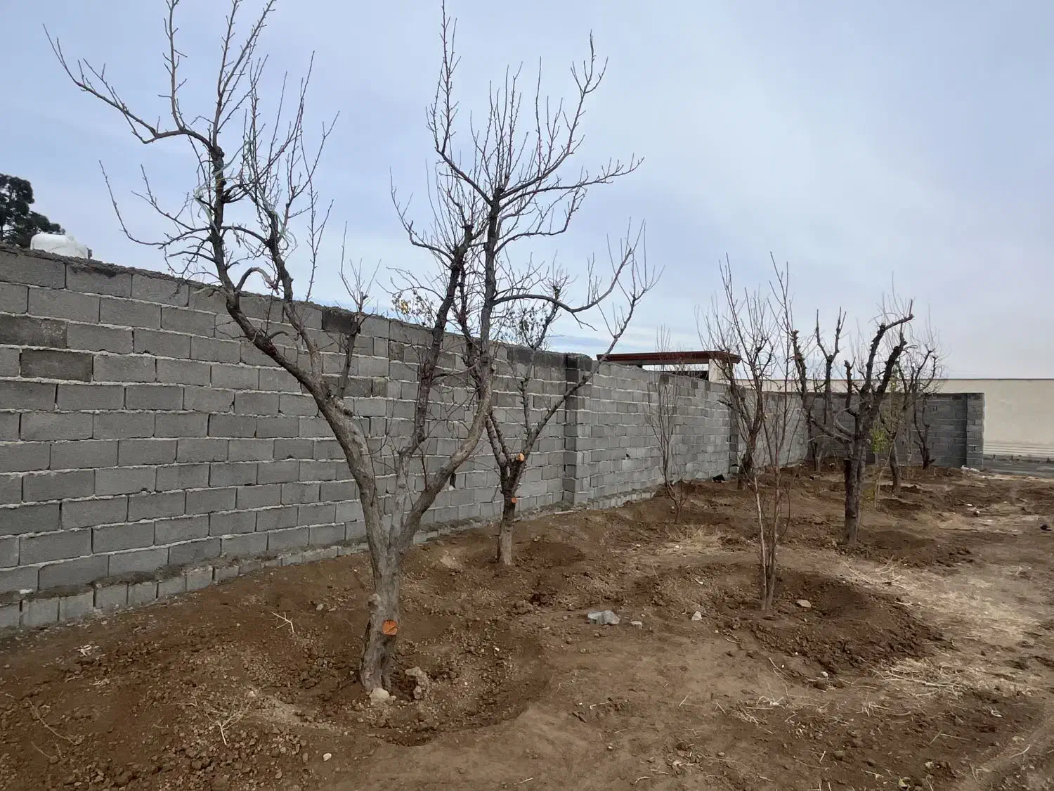 باغچه۴۳۲ متر (اب/برق / گاز) چسب ملک|فروش زمین و ملک کلنگی|اسلام‌شهر, شهرک مهدیه|دیوار