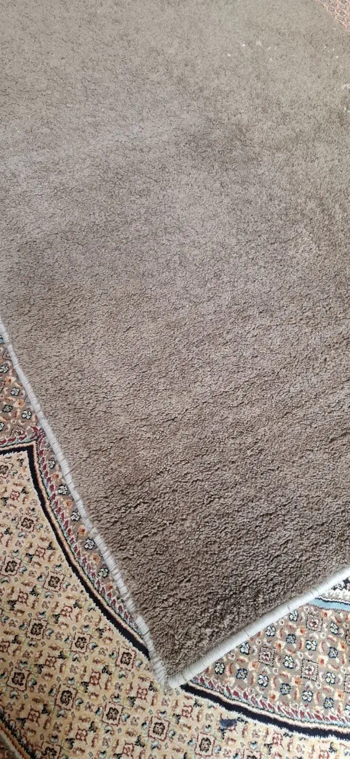 موکت پالاز رنگ موکا|موکت|مشهد, هفت تیر (نه دره)|دیوار