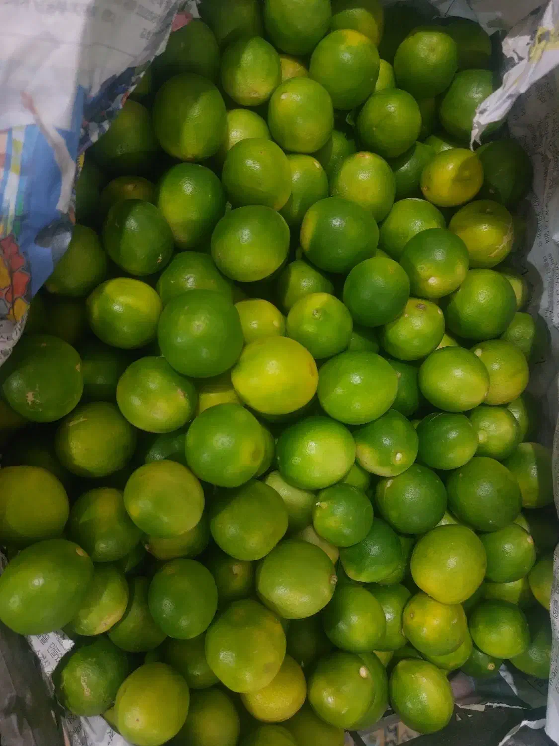 لیمو تازه، سیز تازه، موز|خوردنی و آشامیدنی|زابل, |دیوار