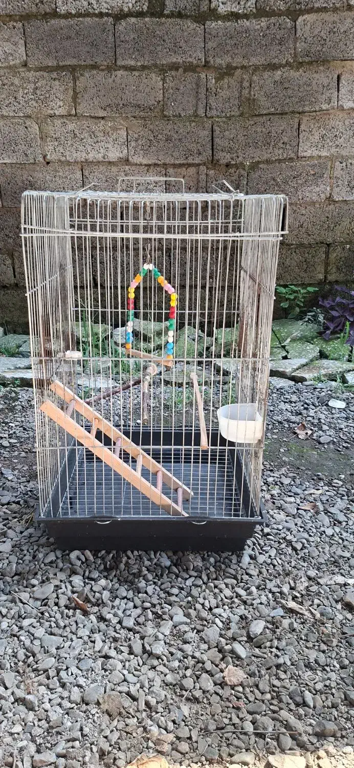دو عدد قفس پرنده|لوازم جانبی حیوانات|رشت, پسیخان|دیوار