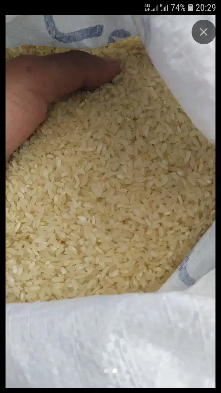 برنج کامفیروزی درجه یک|خوردنی و آشامیدنی|کامفیروز, |دیوار