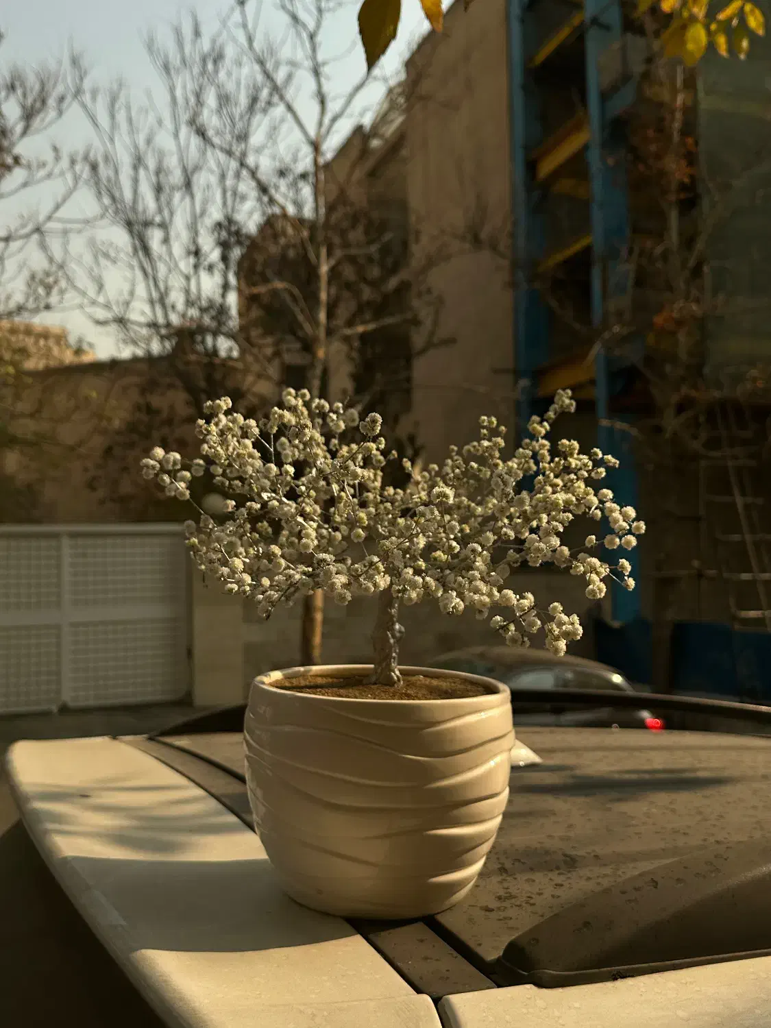 تزئینی منزل|مجسمه، تندیس، ماکت|تهران, کاشانک|دیوار