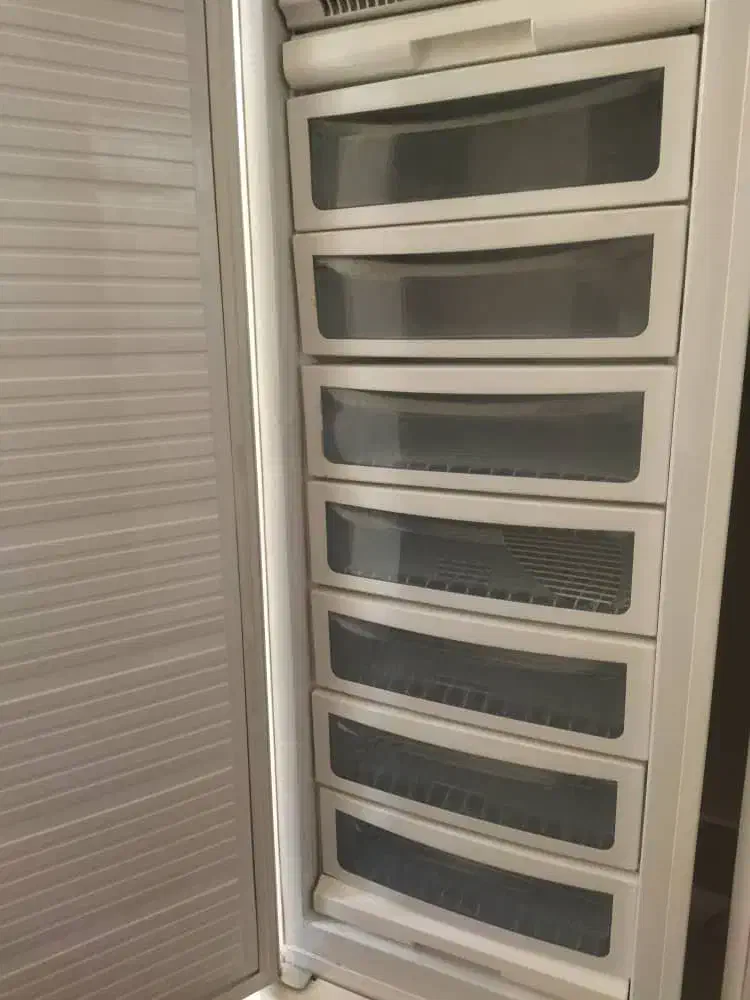 یخچال و یخچال فریزر|یخچال و فریزر|شاهین دژ, |دیوار