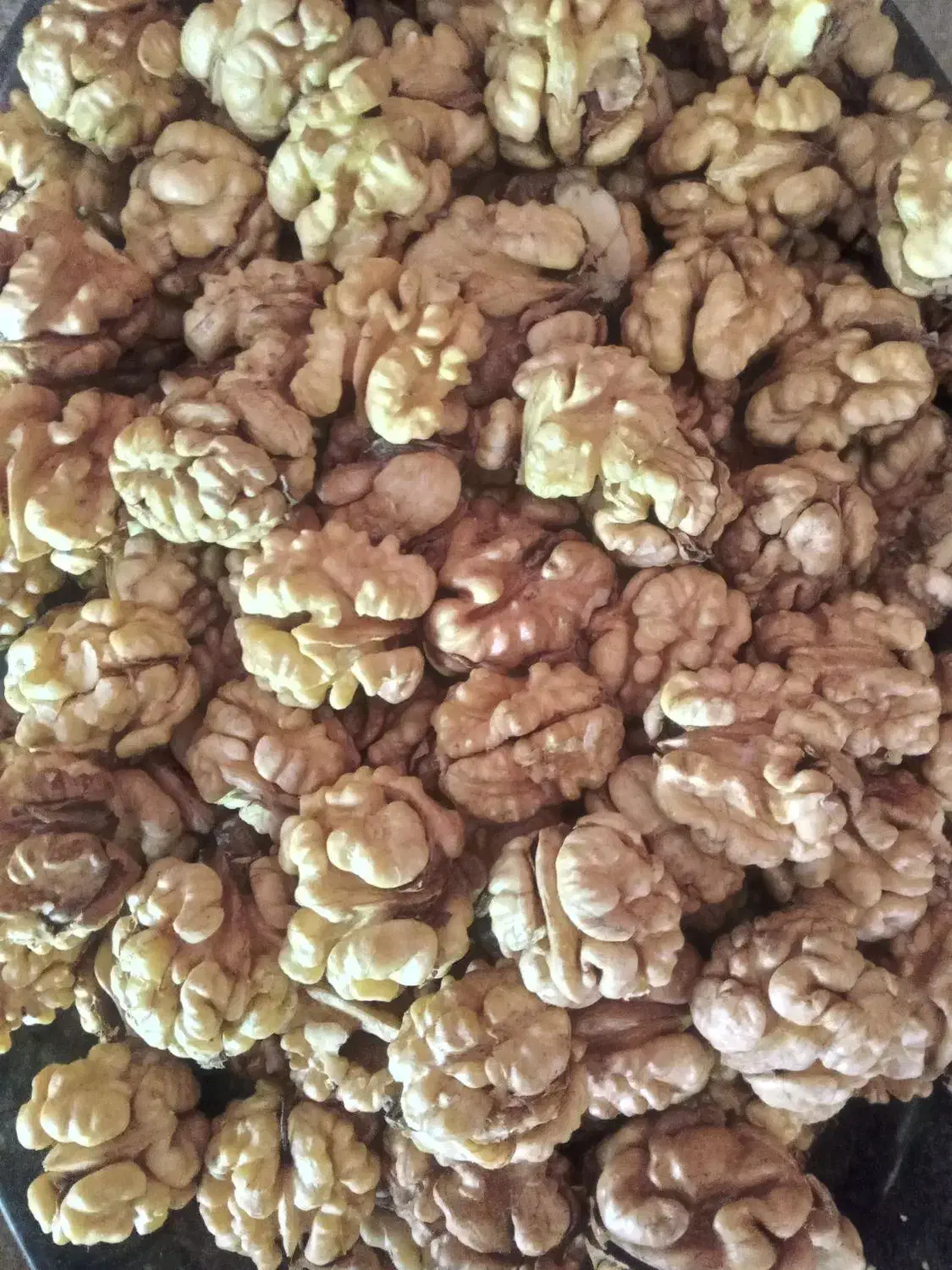 گردو سفید روغنی ضیاءآباد|خوردنی و آشامیدنی|ضیاء آباد, |دیوار