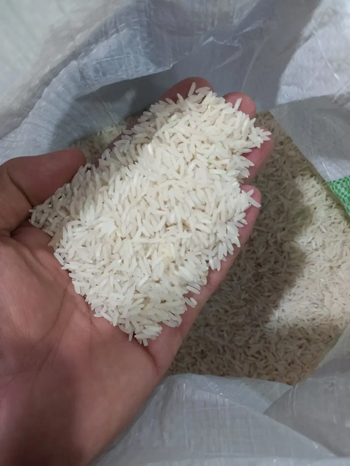 برنج درجه یک فجر|خوردنی و آشامیدنی|تالش, هشتپر|دیوار