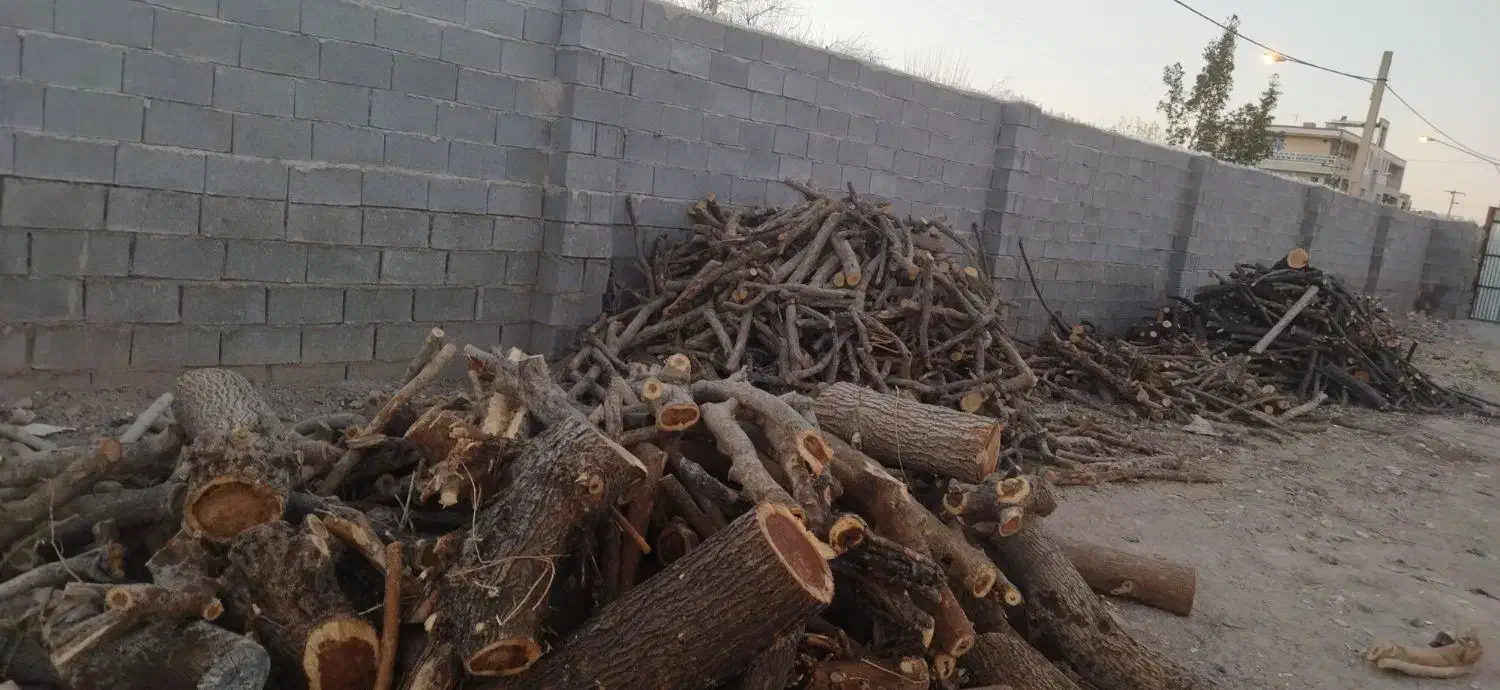 خریدار چوب وقطع درخت|خدمات باغبانی و درختکاری|فسا, |دیوار