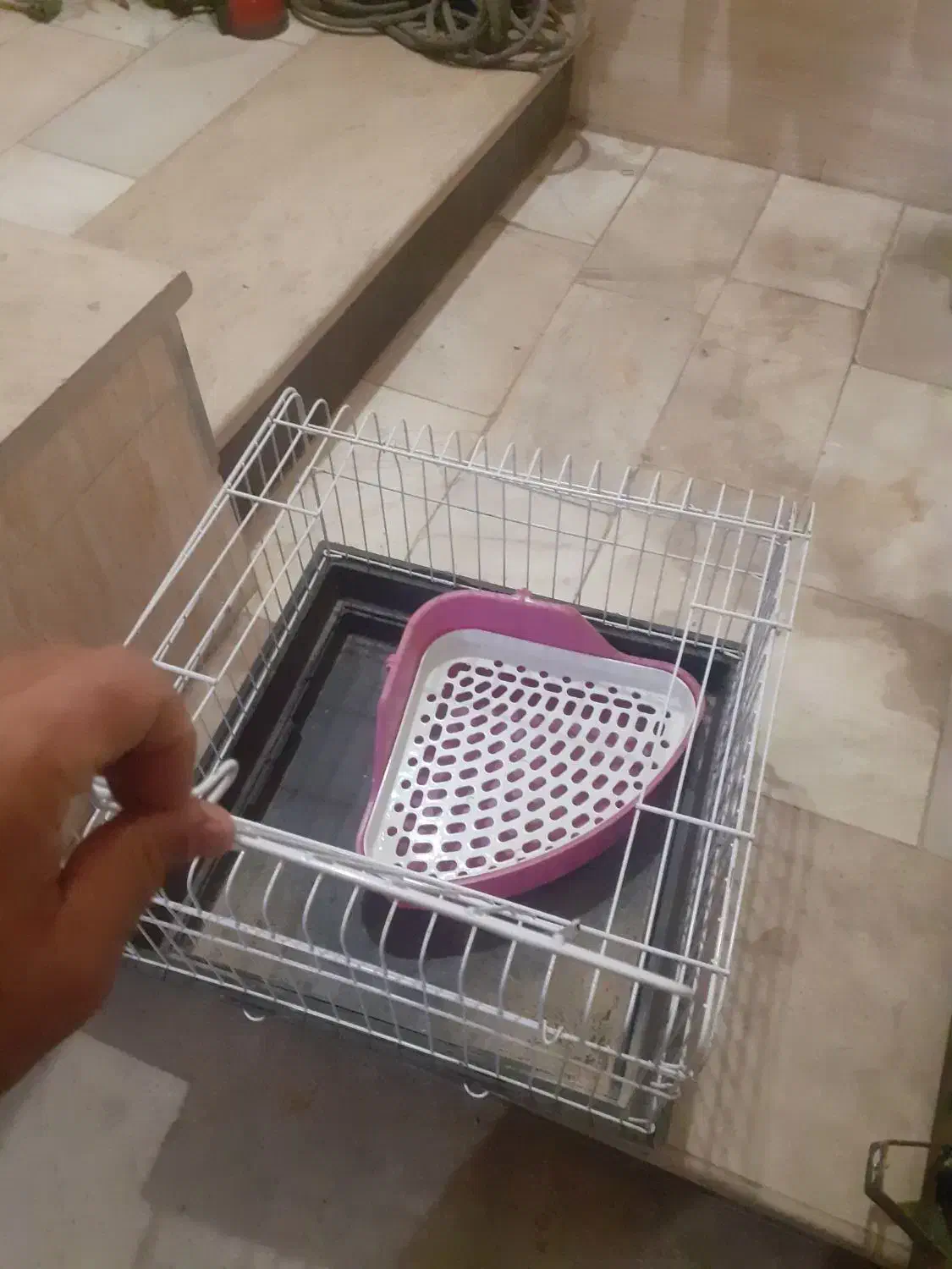 قفس حیوانات|لوازم جانبی حیوانات|قزوین, |دیوار