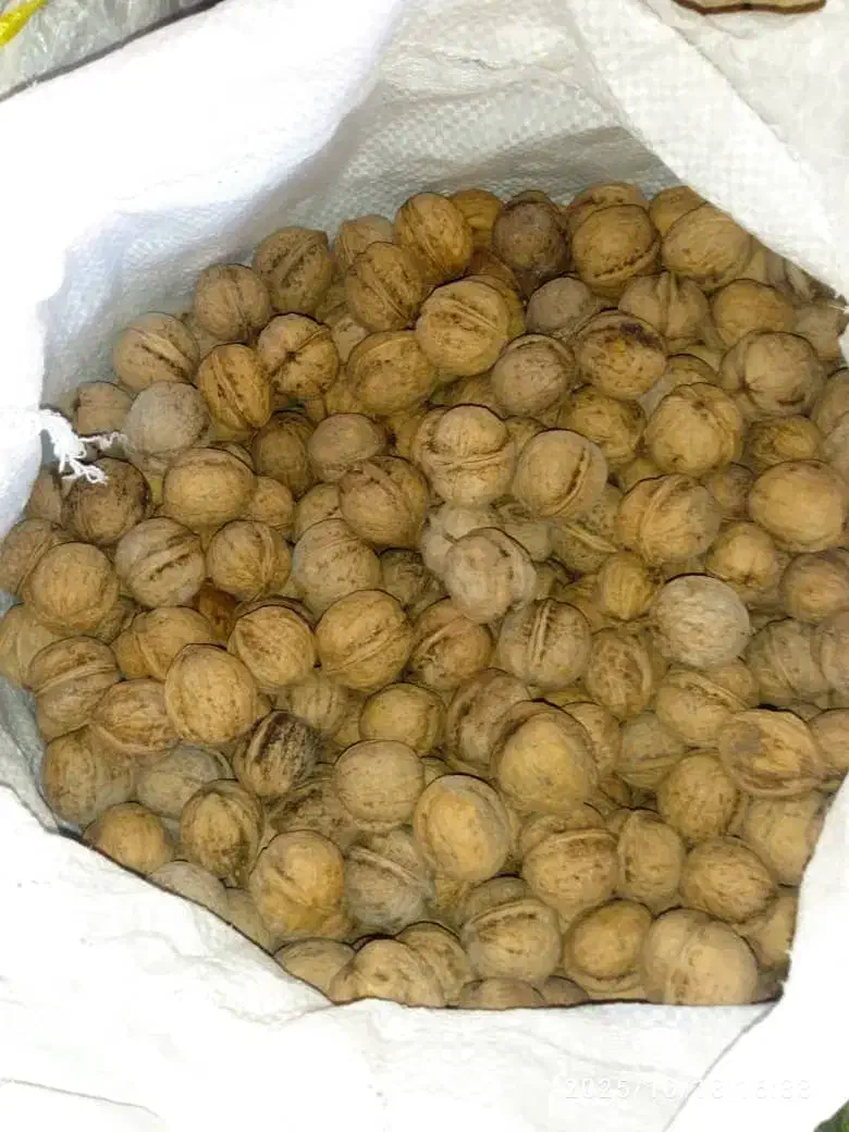 گردو کردستان|خوردنی و آشامیدنی|قدس, شهر‌قدس|دیوار